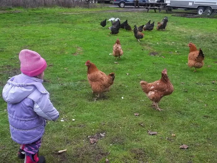 Elk Haven RV Resort Picture 9