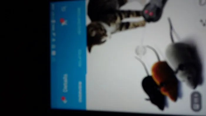 Rose Terrace Picture 1