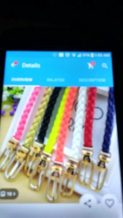 Rose Terrace Picture 2