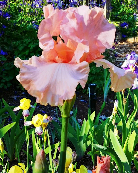 Twin Rivers Vacation Park Picture 7