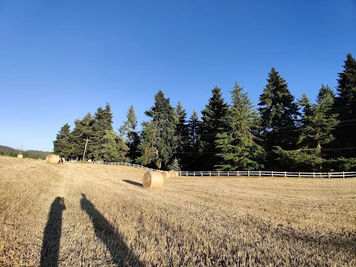 Twin Rivers Vacation Park Picture 3