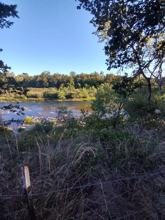 Twin Rivers Vacation Park Picture 9