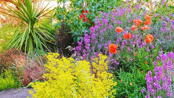 Twin Rivers Vacation Park Picture 6