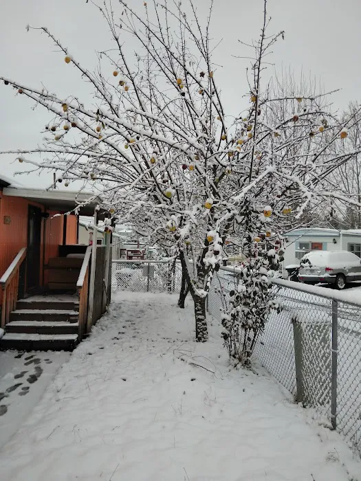 Roseburg Mobile Home & RV Park Picture 6