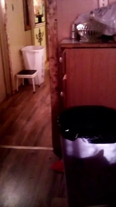 Gilley Trailer Park Picture 1