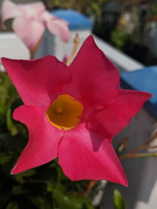 Alameda Ave Trailer Park - Roseburg Mobile Home & RV Park Picture 9