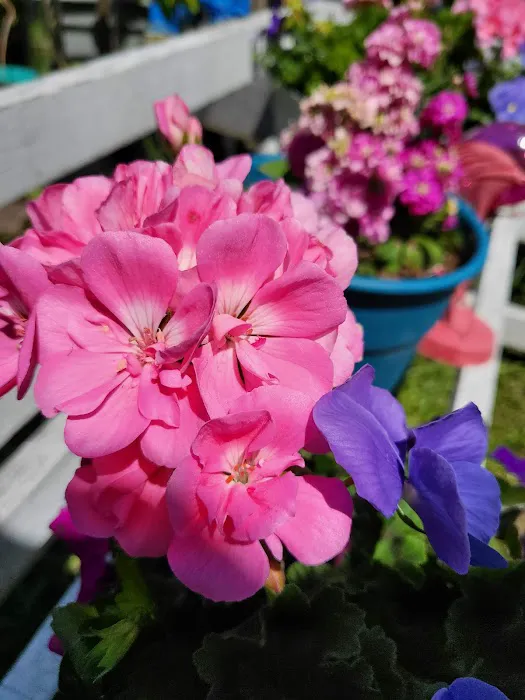 Alameda Ave Trailer Park - Roseburg Mobile Home & RV Park Picture 10