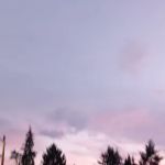 Halcyon Mobile Home Park