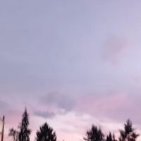 Halcyon Mobile Home Park ico