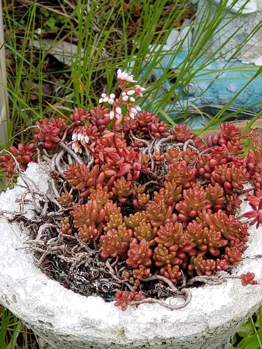 Kingsbury West Picture 1