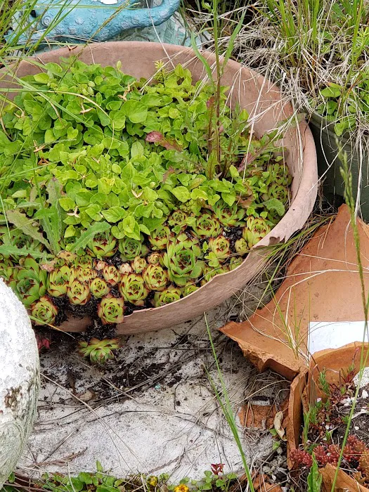 Kingsbury West Picture 9