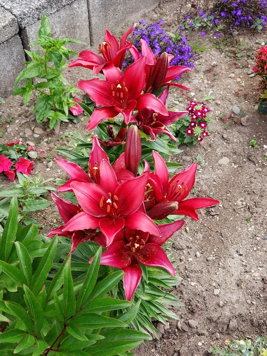 Kingsbury West Picture 8