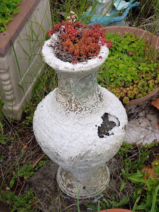 Kingsbury West Picture 10