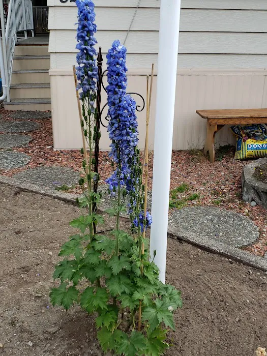 Kingsbury West Picture 3