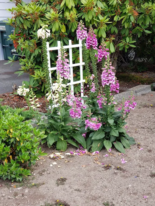 Kingsbury West Picture 6