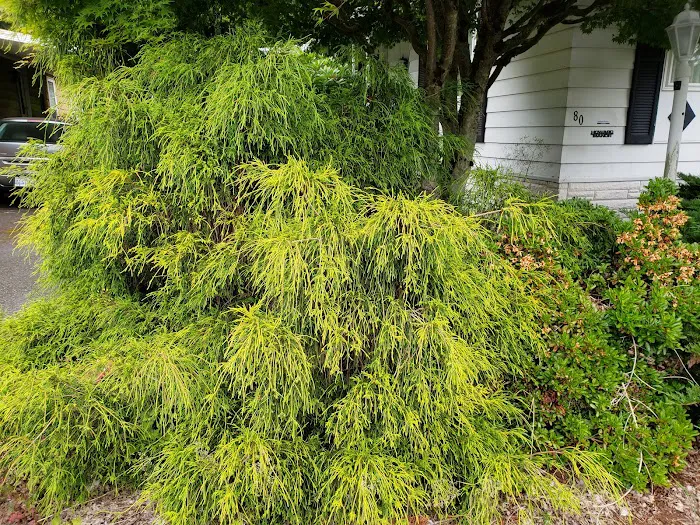 Kingsbury West Picture 7