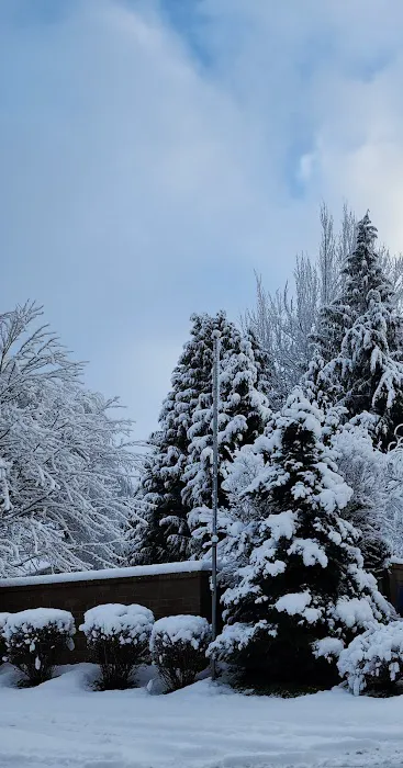 Mariner Village Park Picture 1