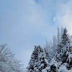 Mariner Village Park