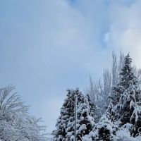 Mariner Village Park ico