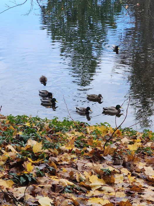 Mariner Village Park Picture 3