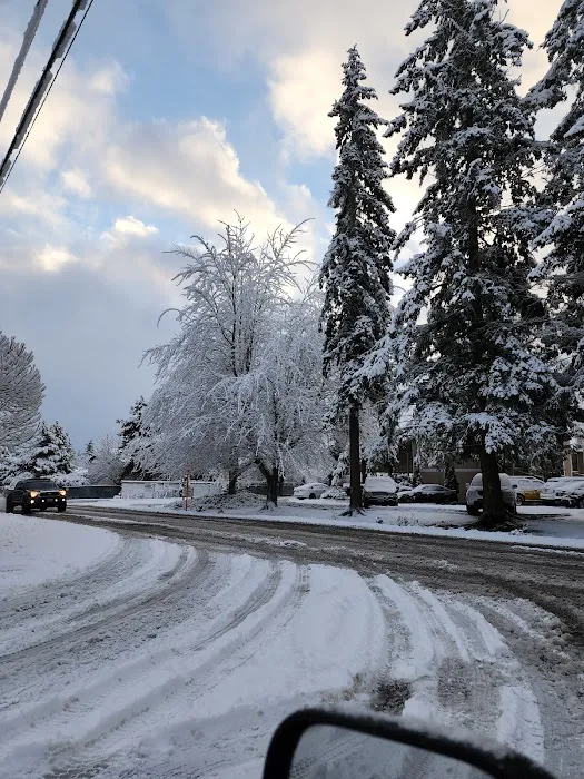 Mariner Village Park Picture 2