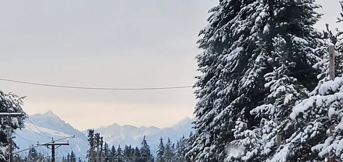 Mariner Village Park Picture 8