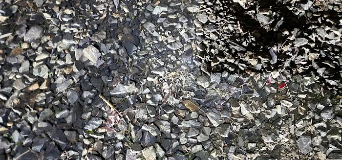 Maple Grove RV Resort Picture 3