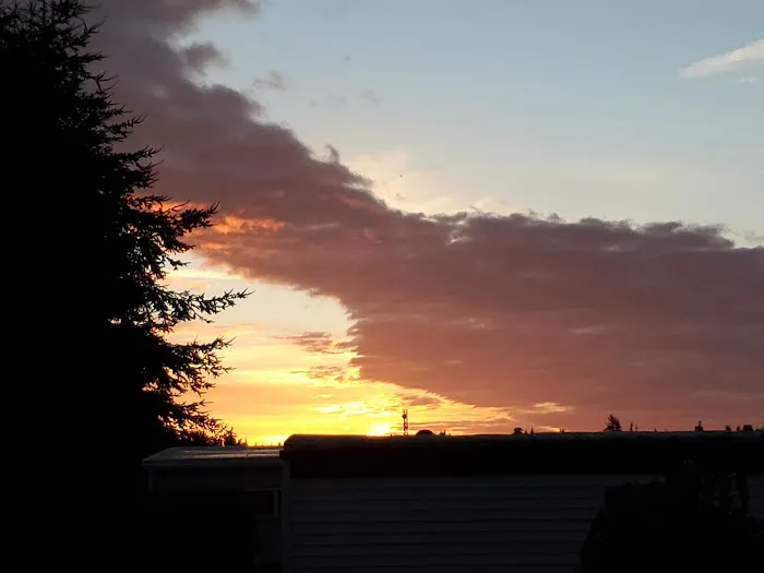 Mobile Country Club Picture 7