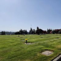 Mobile Country Club ico