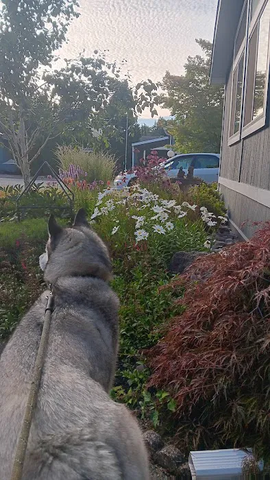 Creekside Mobile Home Park Picture 1