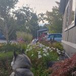 Creekside Mobile Home Park