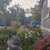 Creekside Mobile Home Park ico