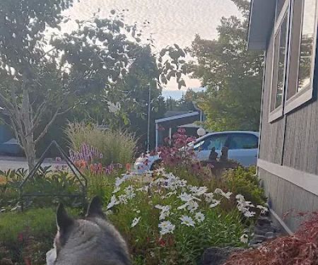 Creekside Mobile Home Park