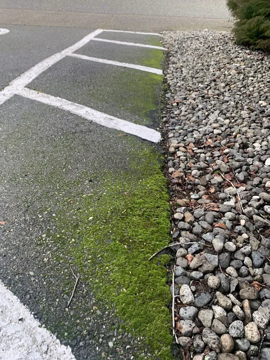 Creekside Mobile Home Park Picture 6