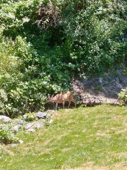 Creekside Mobile Home Park Picture 9