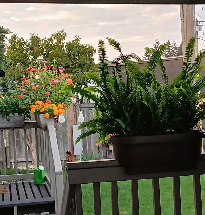 Mobile Haven Senior Park Picture 2