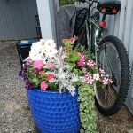 Brookside Mobile Rv Park