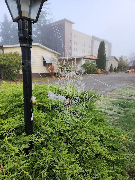 Mobile Manor Picture 9