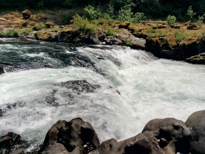 Timber River RV Park Picture 4
