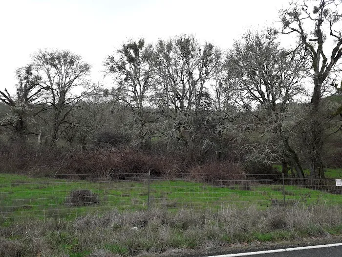 Valley View Mobile Home Park Picture 8