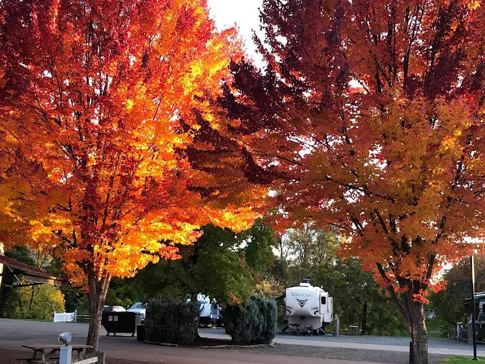 Rising River RV Resort & River House Picture 6