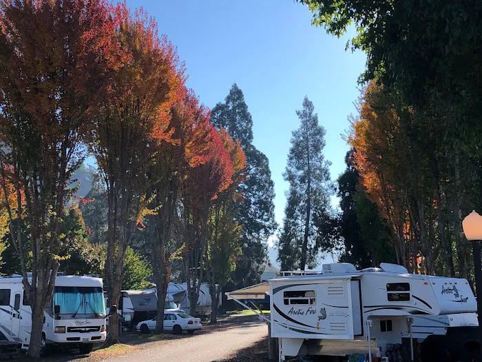 Rising River RV Resort & River House Picture 3