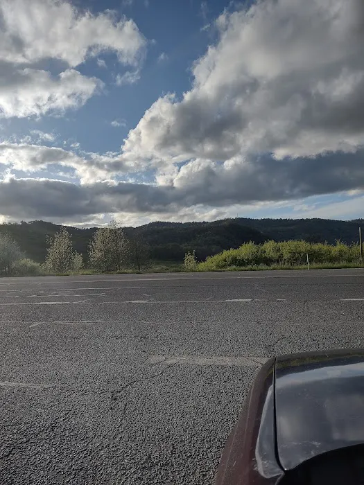Umpqua Safari RV Park Picture 2