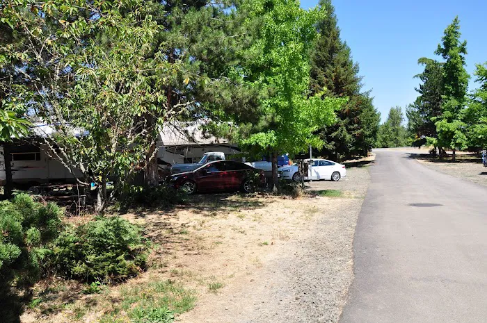 Umpqua Safari RV Park Picture 7