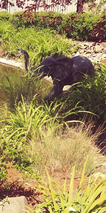 Junction RV Park Picture 1