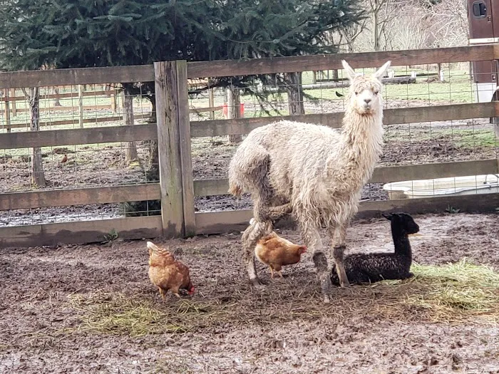 Smith River RV Park & Marina Picture 8