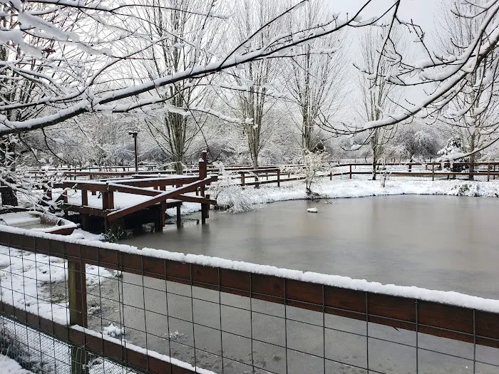 Smith River RV Park & Marina Picture 5