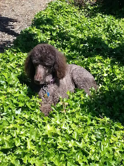 River Bend Mobile Resort Picture 1