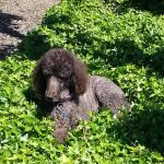 River Bend Mobile Resort