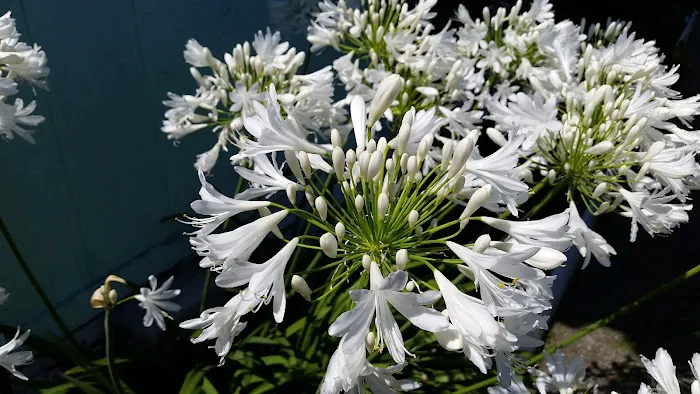 River Bend Mobile Resort Picture 5